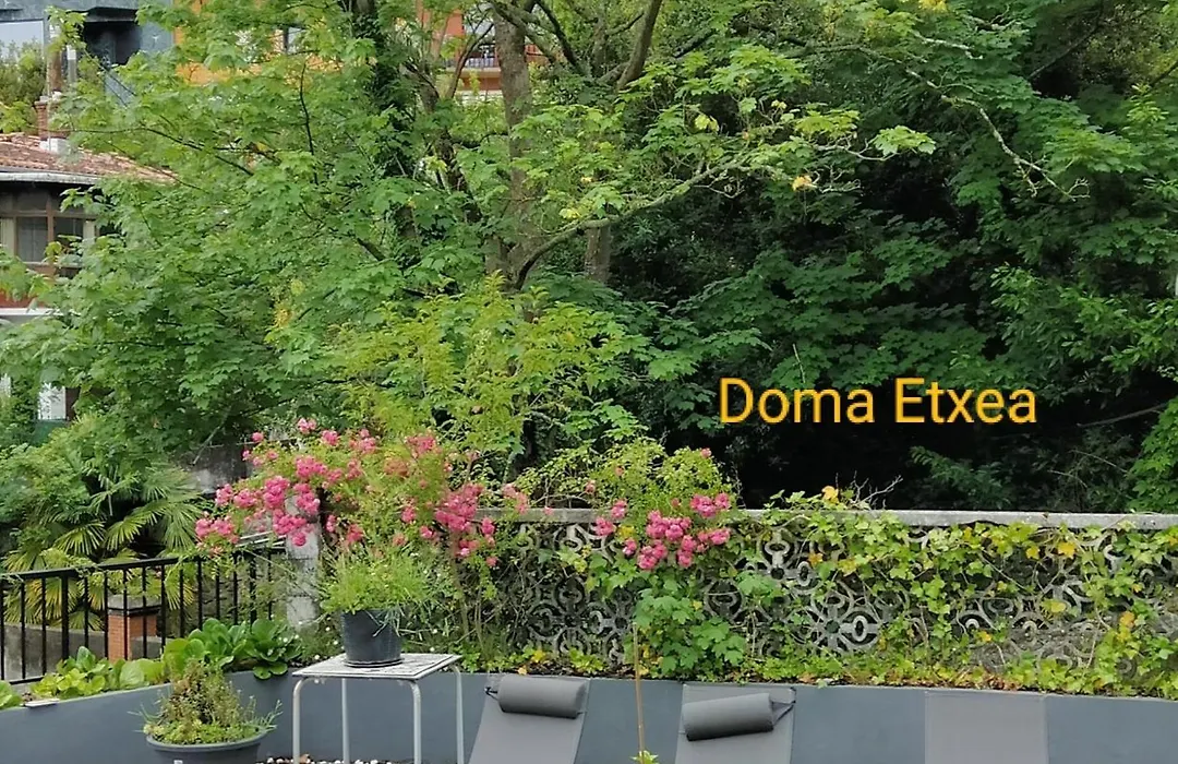 Doma Etxea Donostia-San Sebastian ESS02683-1